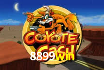 Crash Games Strategies 8899win